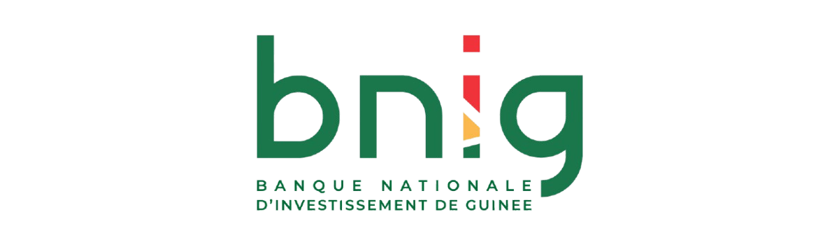 Banque Nationale d’Investissement de Guinée (BNIG) logo